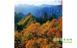 長(zhǎng)沙往返張家界、天子山、寶峰湖/黃龍洞三日游
