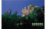 網(wǎng)絡(luò)熱門純玩游：張家界、天子山、袁家界、楊家界 自助三日游