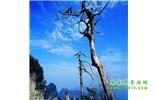 湘西之旅：張家界、天子山、寶峰湖/黃龍洞、鳳凰古城、猛洞河漂流、天門山六日游