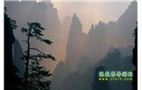 張家界國家森林公園、寶峰湖/黃龍洞、鳳凰古城、三峽八日游