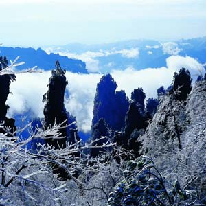 LD線：張家界、天子山、楊家界、猛洞河漂流純玩四日游